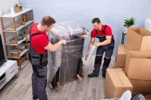 professional-movers-doing-home-relocation_1016675-2375
